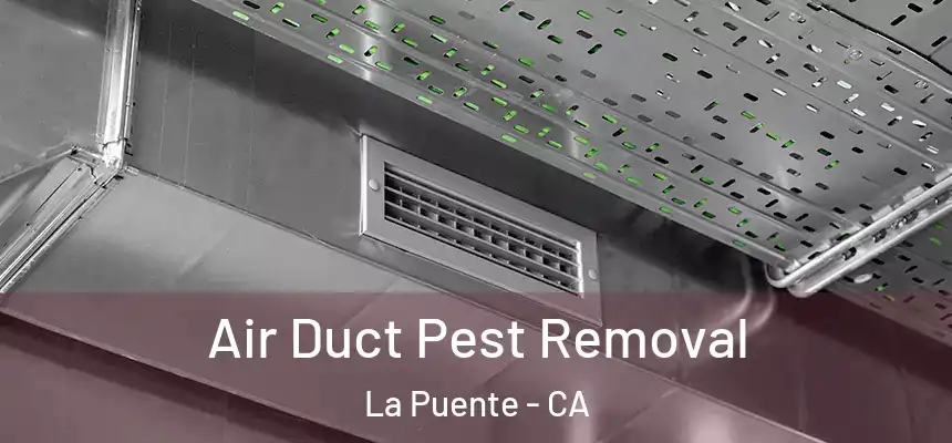  Air Duct Pest Removal La Puente - CA