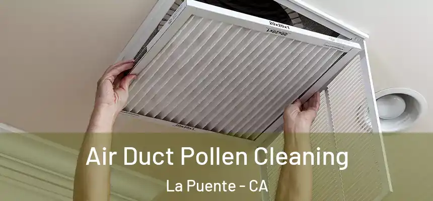 Air Duct Pollen Cleaning La Puente - CA