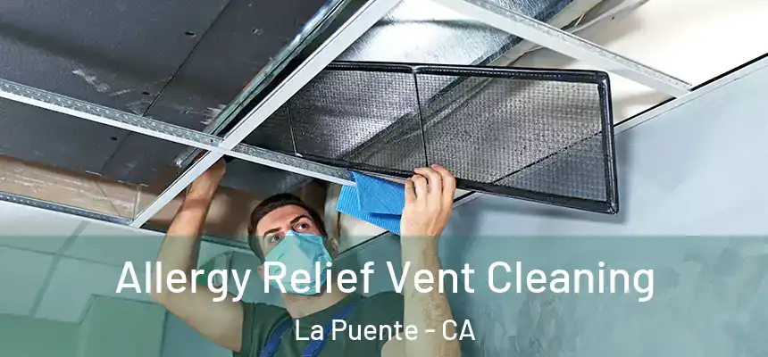 Allergy Relief Vent Cleaning La Puente - CA