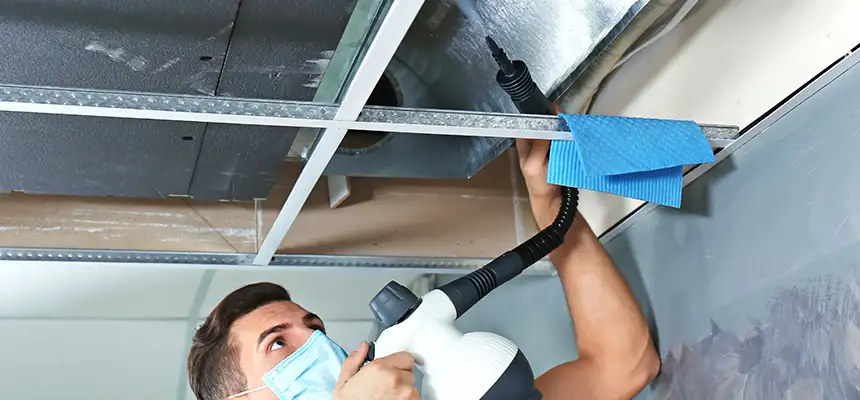 Our Air Duct Rodent Removal Services in La Puente, CA