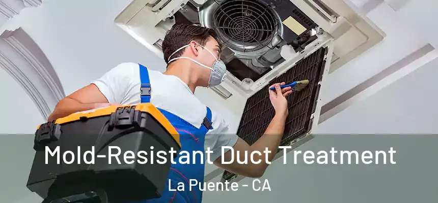  Mold-Resistant Duct Treatment La Puente - CA