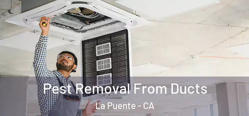 Pest Removal From Ducts La Puente - CA