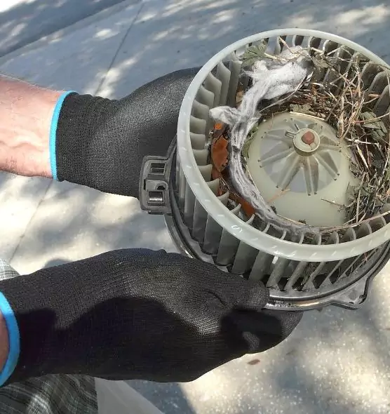 About Air Duct Mice Removal in La Puente, CA