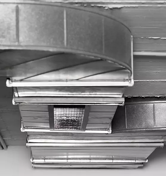 Professional Air Duct Pest Removal in La Puente, CA