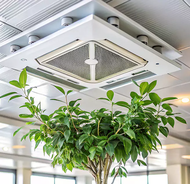 Why Homeowners & Businesses Trust Us in La Puente, CA?