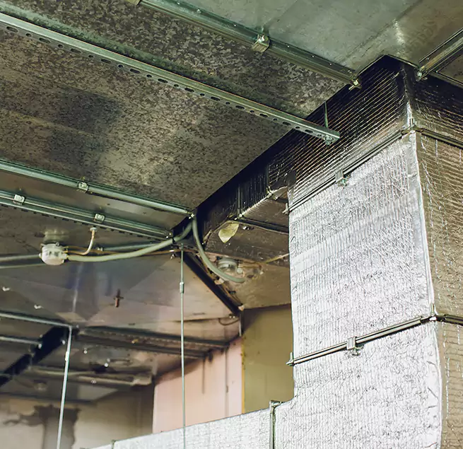 Why Homeowners & Businesses Trust Us in La Puente, CA?